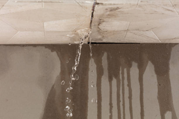 Professional Flood Damage Cleanup technician working in Kanaranzi, MN